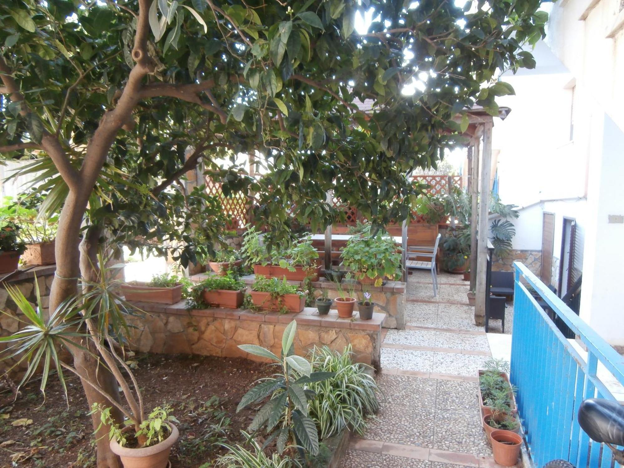 Busalacchi B&B Mondello Buitenkant foto