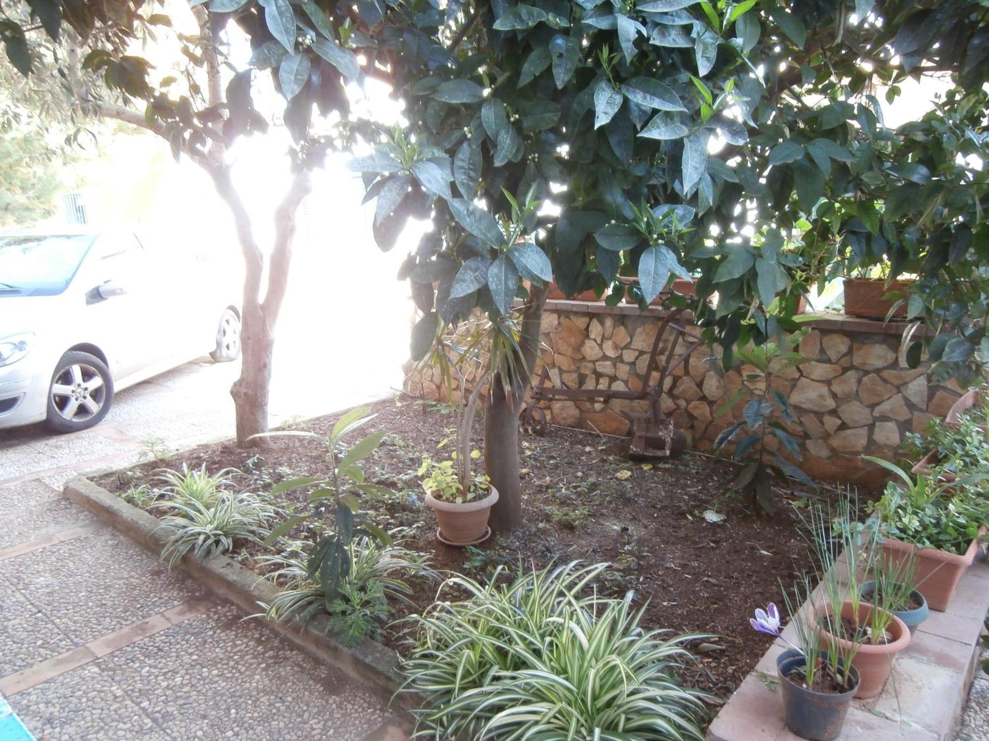 Busalacchi B&B Mondello Buitenkant foto