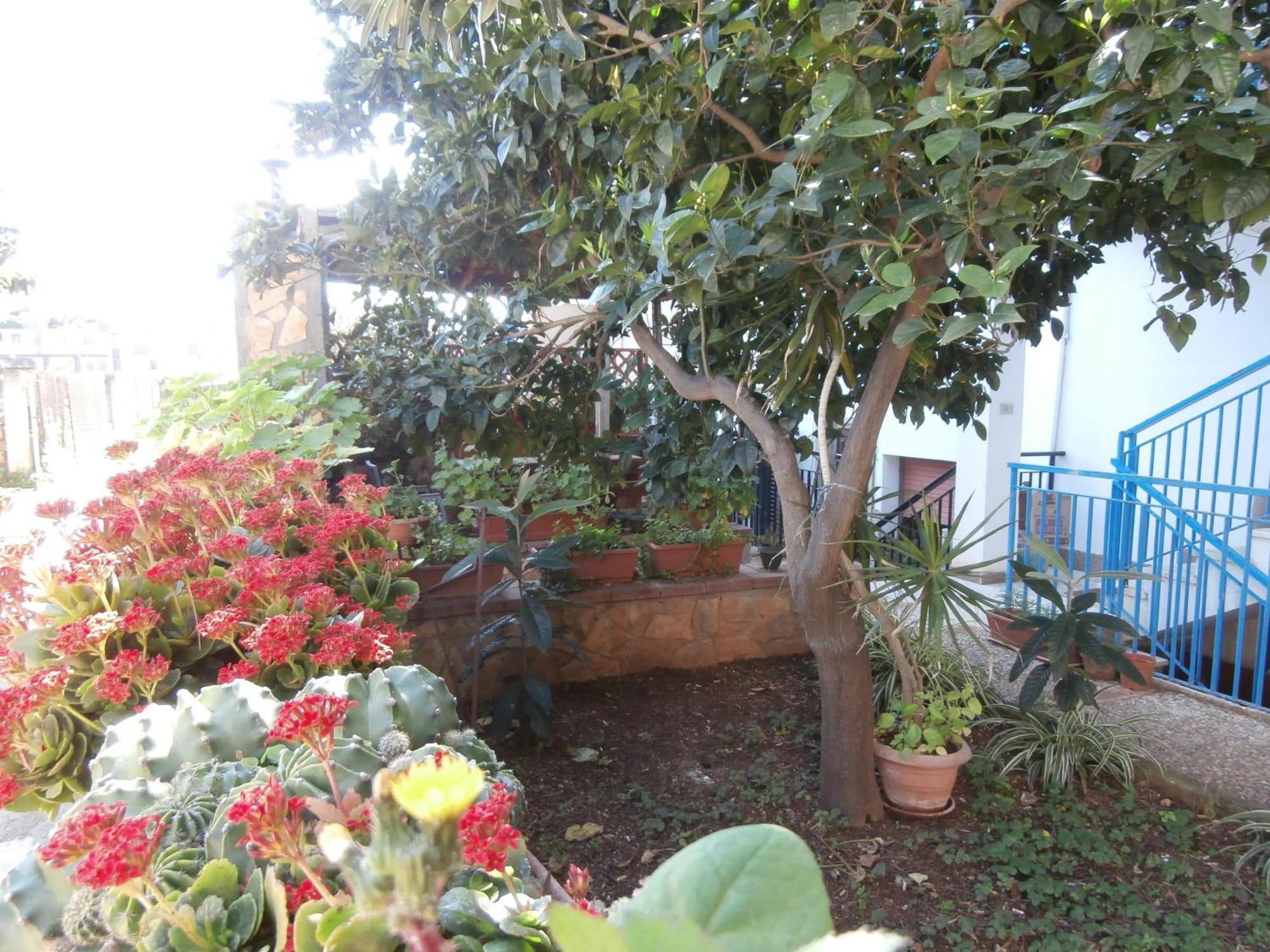 Busalacchi B&B Mondello Buitenkant foto